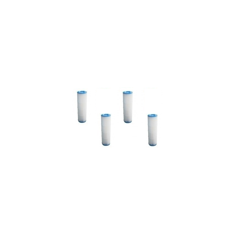 Lot de 4 Cartouches de filtration Pentair pour Filtres à cartouche QUAD Pentair