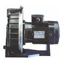 Pompe pour Balnéothérapie Booster Challenger 2 cv Tri 25 m3/h