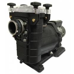 Pompe Filtration piscine RENOVO VIPOOL ACIS 1 CV monophasée