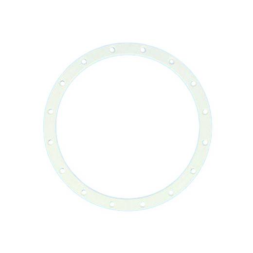 Bride PRX9513 Projecteur 300W incand Cofies PAR56 Hayward