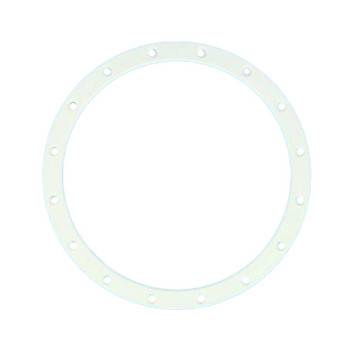Bride PRX9513 Projecteur 300W incand Cofies PAR56 Hayward