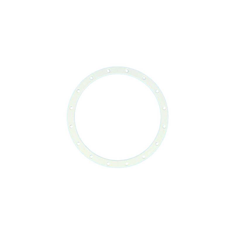Bride PRX9513 Projecteur 300W incand Cofies PAR56 Hayward