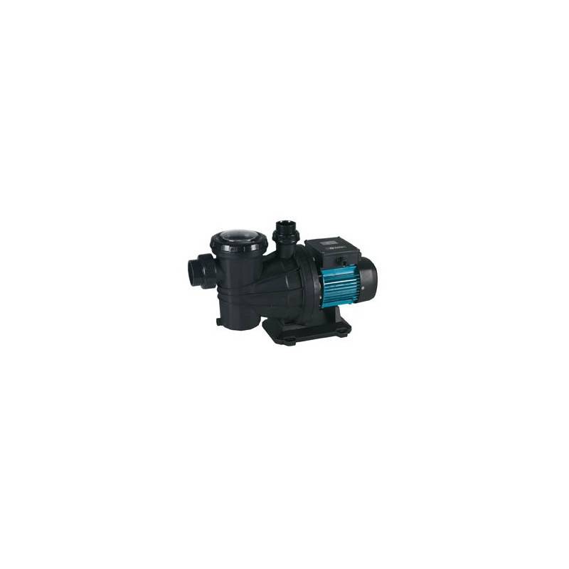 Pompe Filtration reconditionnée ESPA Silver 18m