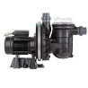 Pompe de filtration La STA-RITE HD PENTAIR 1,5 CV tri