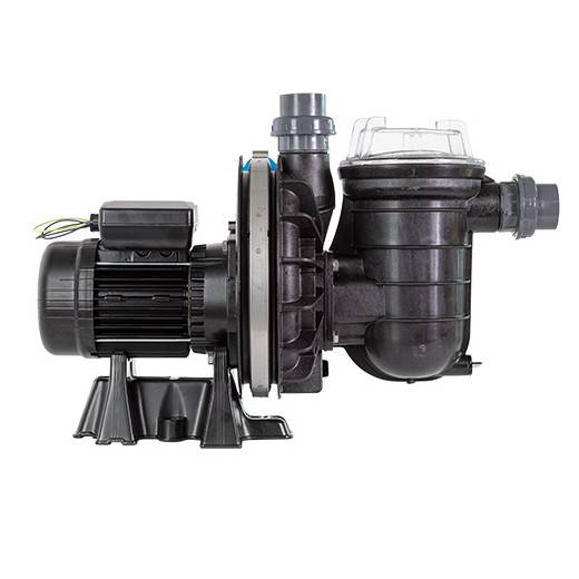 Pompe de filtration La STA-RITE HD PENTAIR 1 CV tri