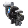 Pompe de filtration LA STA-RITE PENTAIR 1CV tri