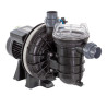 Pompe de filtration LA STA-RITE PENTAIR 1CV tri