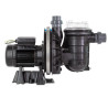 Pompe de filtration LA STA-RITE PENTAIR 0,75CV tri