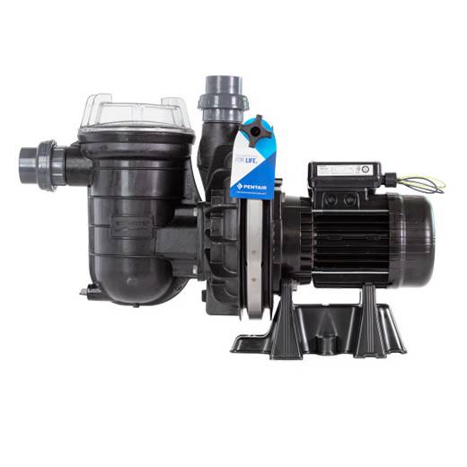 Pompe de filtration LA STA-RITE PENTAIR 0,5CV Tri