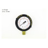 Manomètre 1/4" R152047 Tagelus / Azur / Cristal PENTAIR