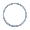 Joint torique 4404020111 couvercle filtre Aster / RapidPool Astralpool