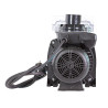 Pompe filtration piscine Pentair Swimmey (Nocchi) mono 1.5 cv - SW28M - 20 m3/h