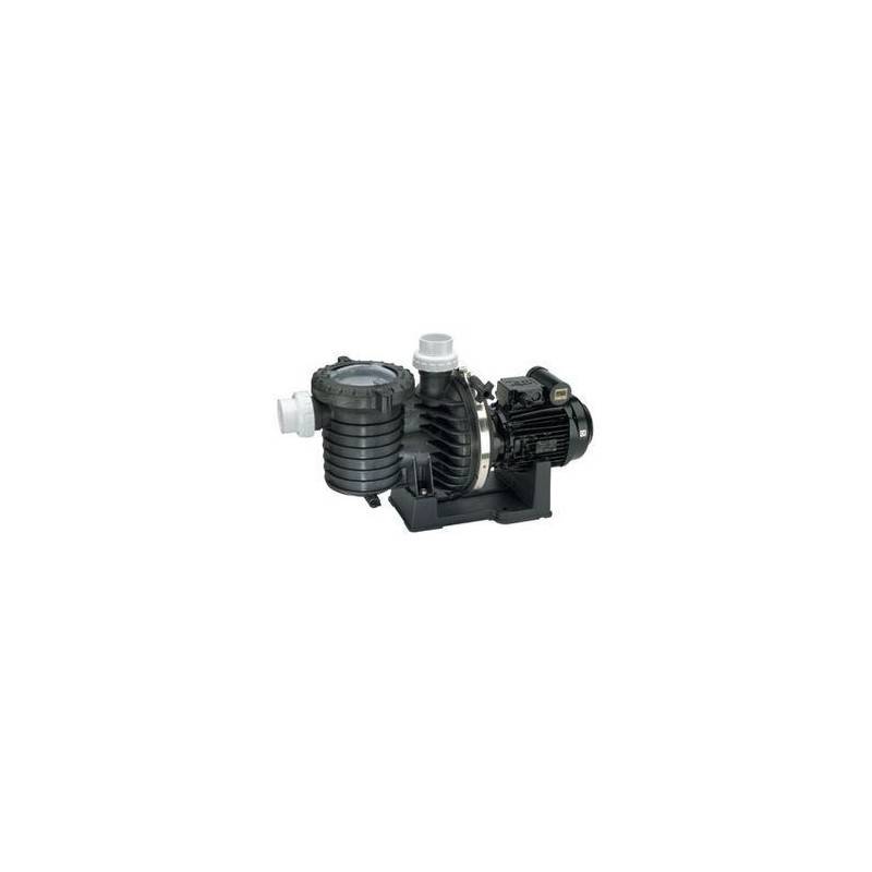 Pompe filtration STA-RITE Série 5P6R 0,75 cv mono - Eau douce