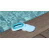 Brosse mousse ligne d'eau BAYROL