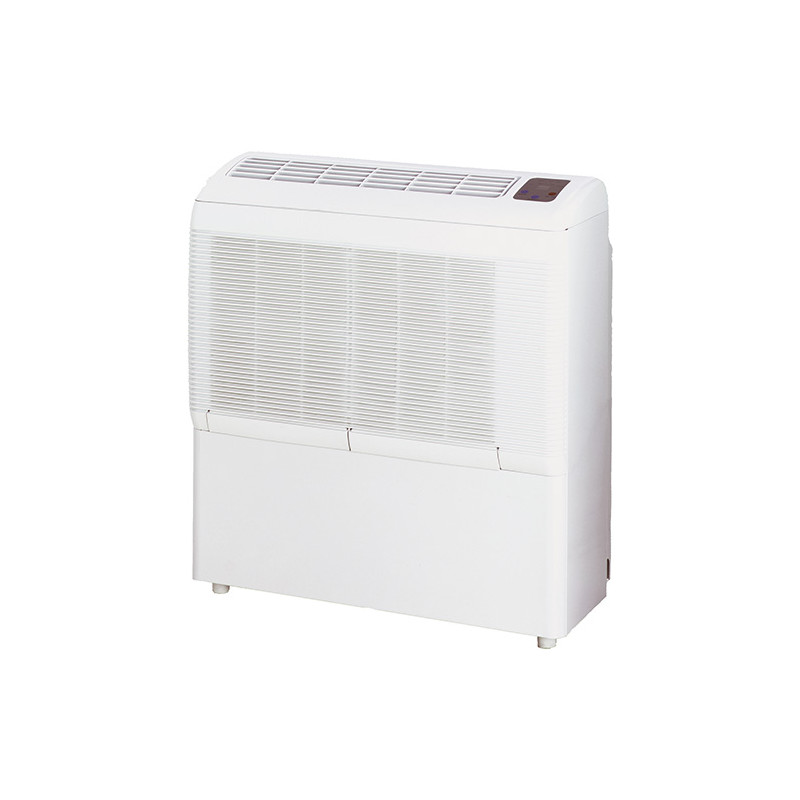 Déshumidificateur Zodiac DT 850E