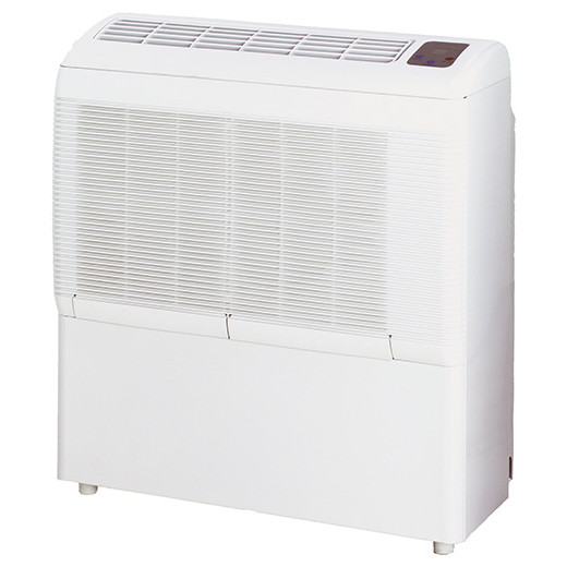 Déshumidificateur Zodiac DT 850E