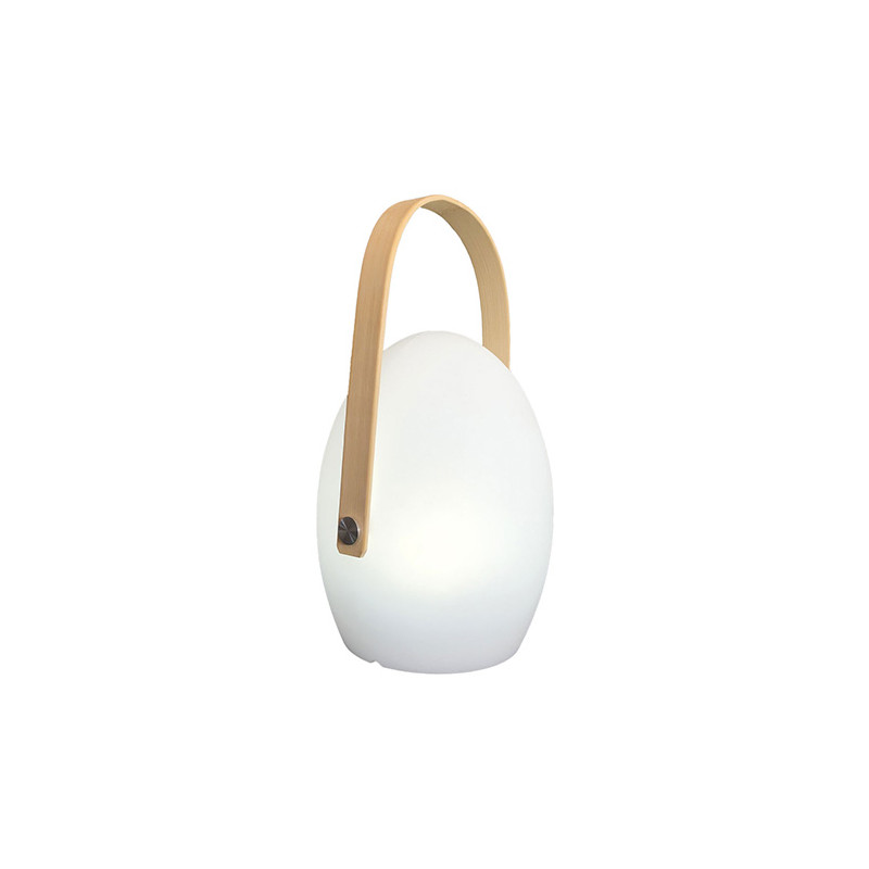 Lampe de jardin LED Faro Wilsa Garden