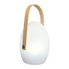 Lampe de jardin LED Faro Wilsa Garden
