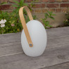 Lampe de jardin LED Faro Wilsa Garden