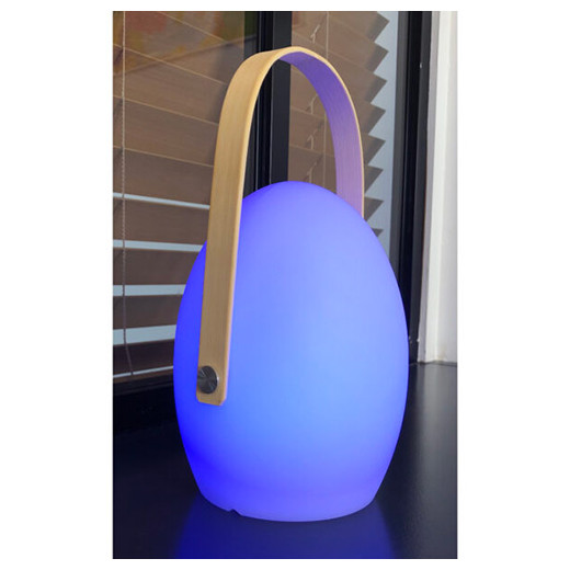 Lampe de jardin LED Faro Wilsa Garden