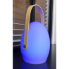 Lampe de jardin LED Faro Wilsa Garden