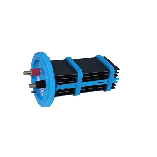 Cellule électrolyseur compatible AUTOCHLOR RP20