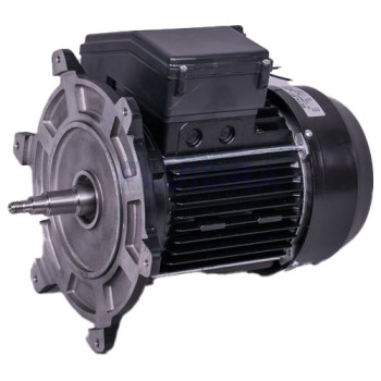Moteur de pompe 2 CV mono - Pompe Victoria ASTRALPOOL Reconditionné