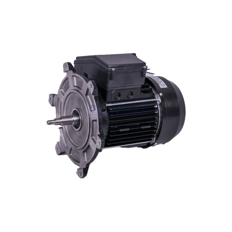Moteur de pompe 2 CV mono - Pompe Victoria ASTRALPOOL Reconditionné