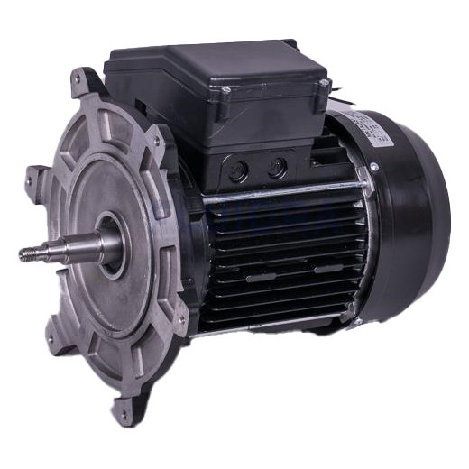 Moteur de pompe 2 CV mono - Pompe Victoria ASTRALPOOL Reconditionné