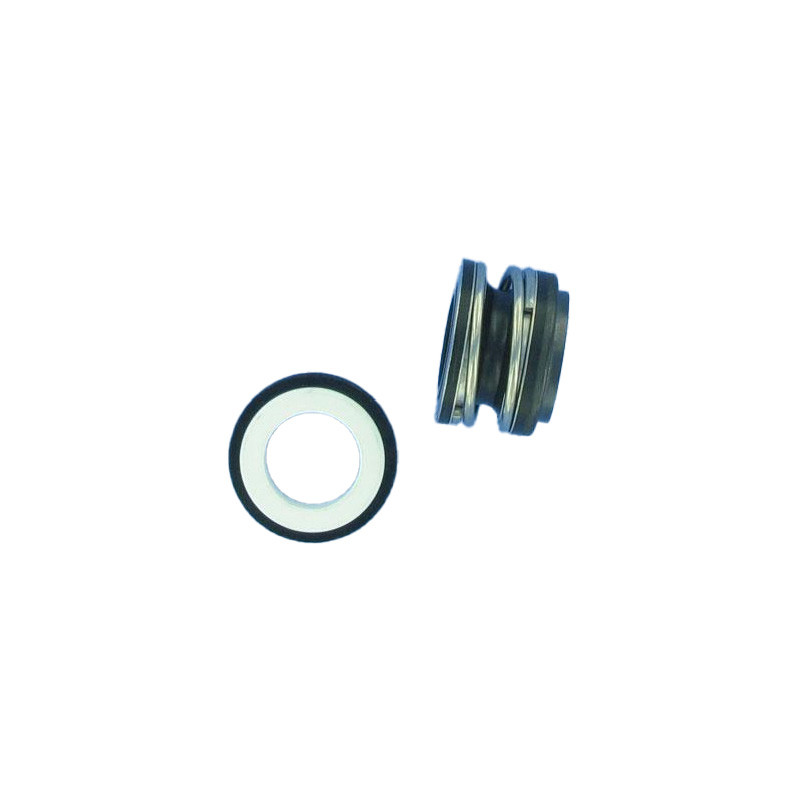 Garniture mécanique R700270 pompe Swimmey STA-RITE