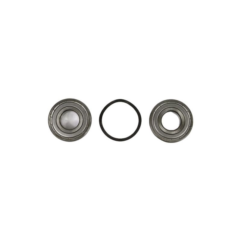 Kit roulement 505010703000 pompe K-Flo HAYWARD