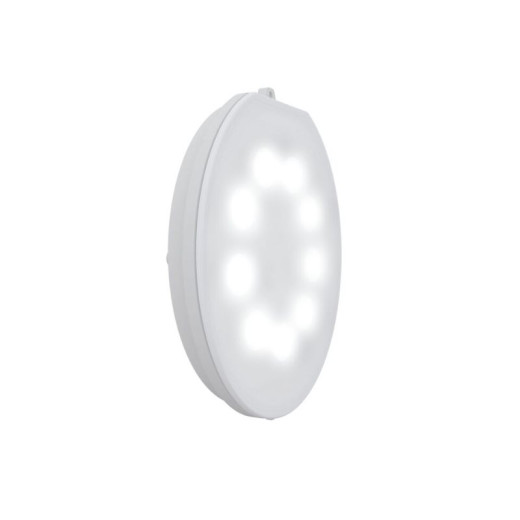 Ampoule projecteur LumiPlus FlexiRapid blanc Astralpool 1485 lumens