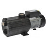 Surpresseur VIPool Norystar P 4T 1,20 cv - Triphasé