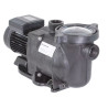 Pompe piscine Pentair SuperFlo 0,75 cv Mono 15 m3/h