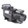 Pompe piscine Pentair SuperFlo 2 cv Tri 23 m3/h