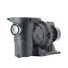 Pompe auto-amorçante DAB Euroswim 1,5 cv Tri 22,5 m3/h