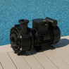 Pompe filtration Speck Badu 21-40/55G pour MX25 Filtrinov