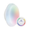 Lampe Astral Lumiplus Plug&Play PAR56 + télécommande