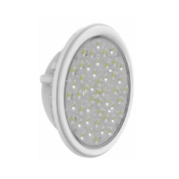 Ampoule Weltico 48 LEDs blanc froid