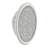 Ampoule Weltico Éco 33 LEDs blanc froid