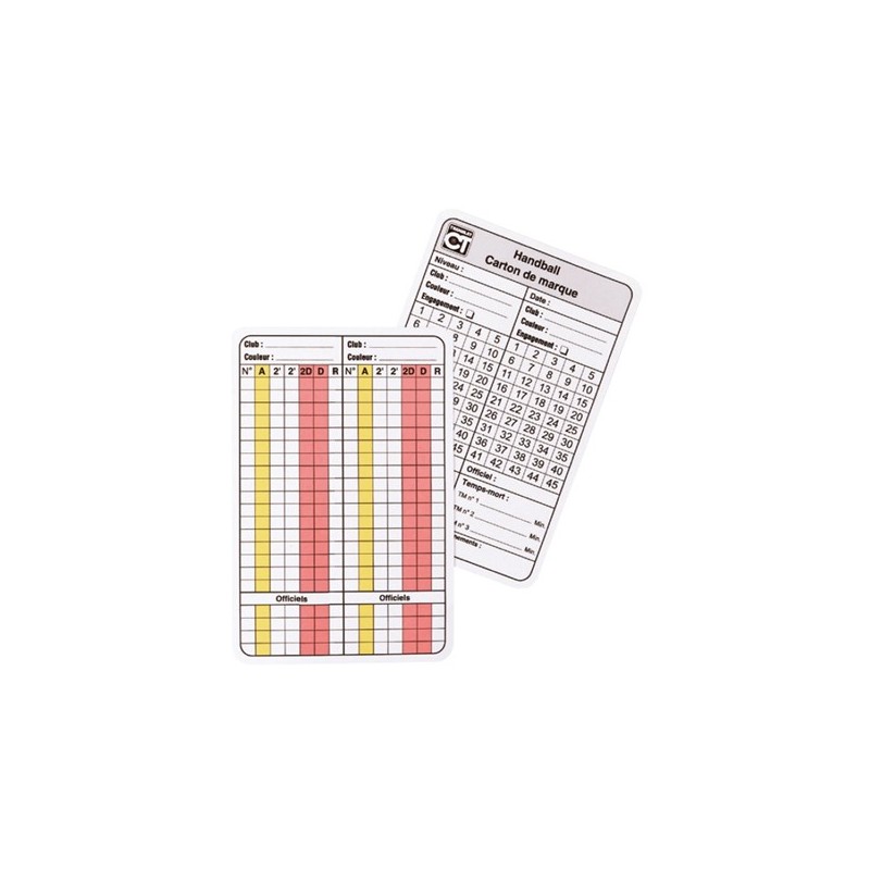 CARTES ARBITRAGE HANDBALL (LOT DE 10)