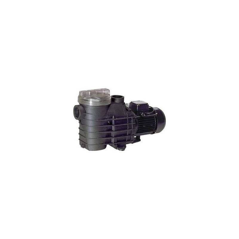 Pompe Filtration Delfino AEP 2 cv mono