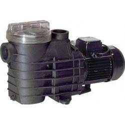 Pompe Filtration Delfino AEP 1 cv mono