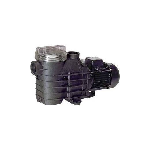 Pompe Filtration Delfino AEP 1 cv mono