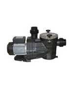 Pompe piscine Vipool