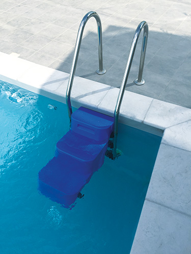 Escalier-piscine-chien-astral
