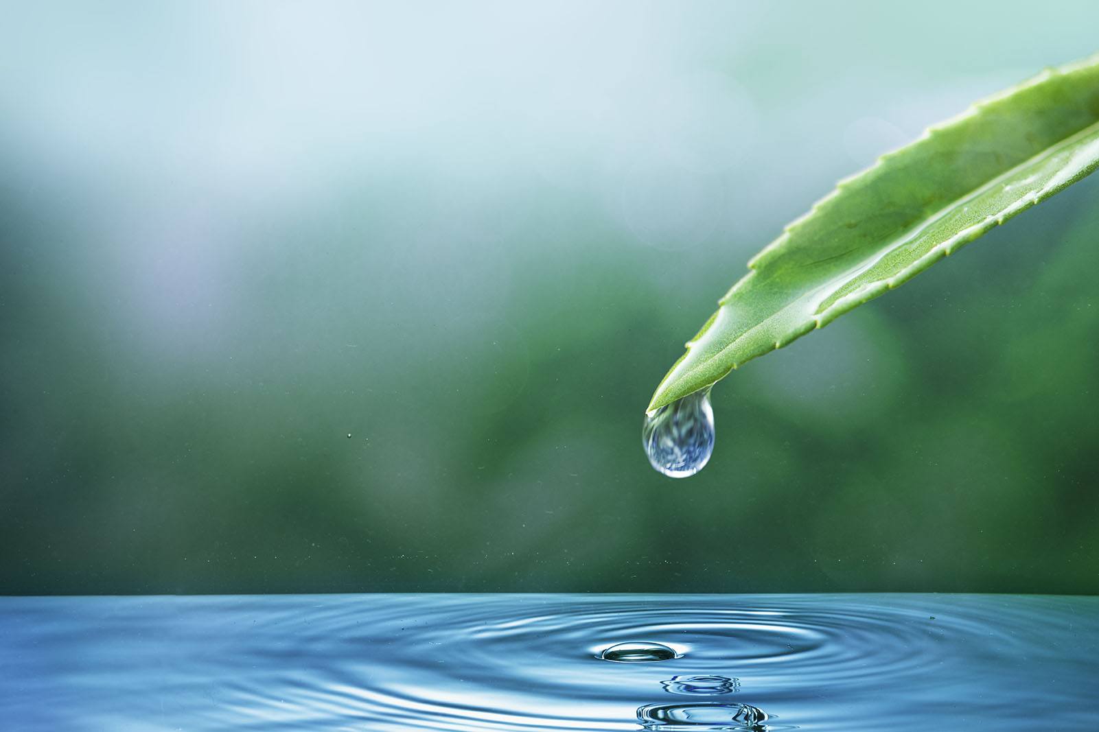 équilibre de l'eau