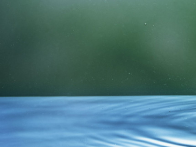 Comment réduire sa consommation d'eau pour sa piscine ? 