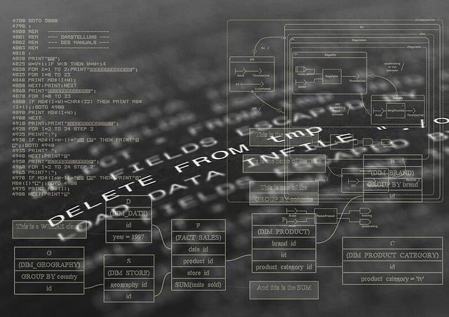 Quels sont les principaux langages de programmation utilisés aujourd'hui